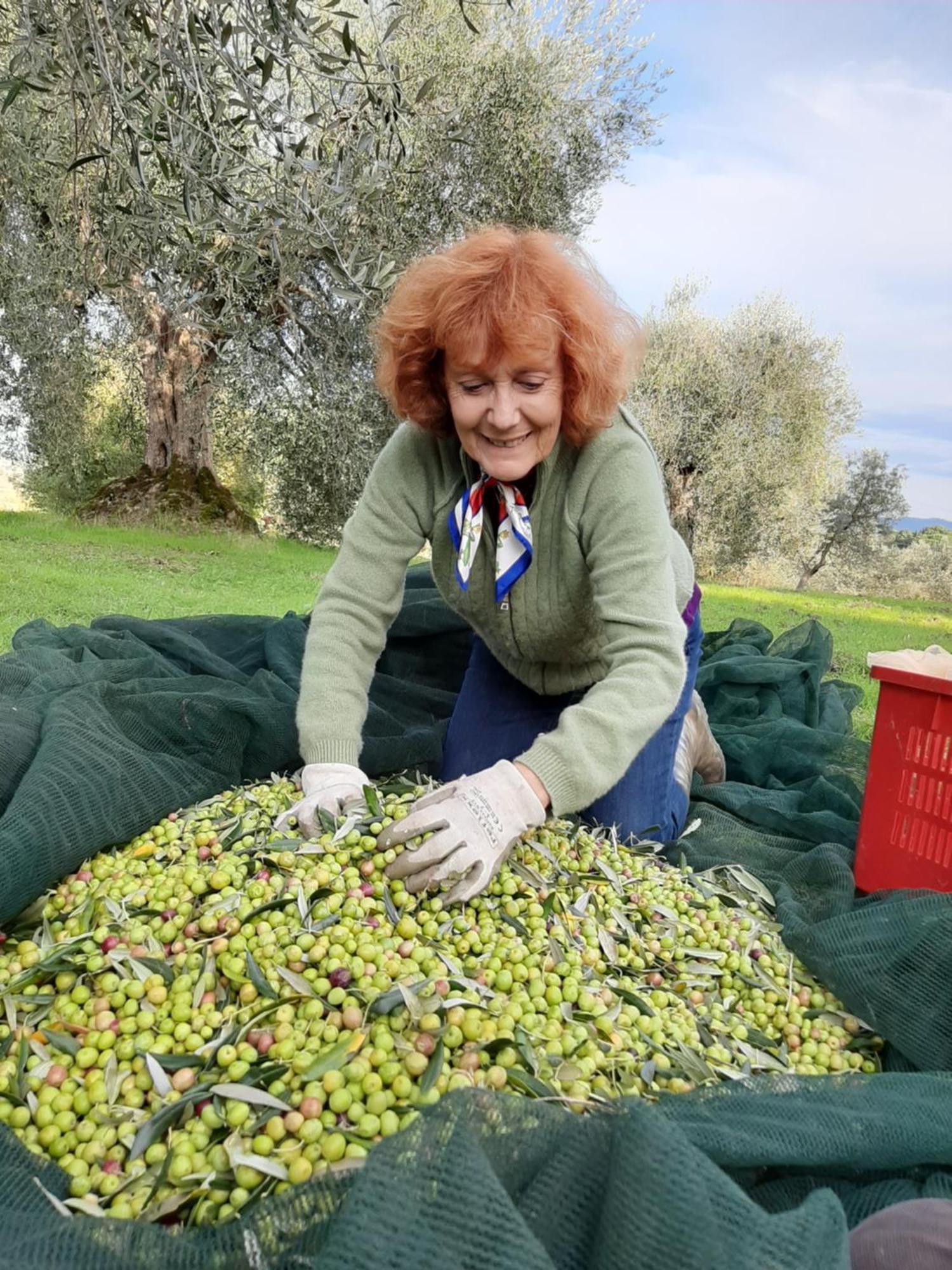 Montebello Degli Olivi Чиуси Экстерьер фото