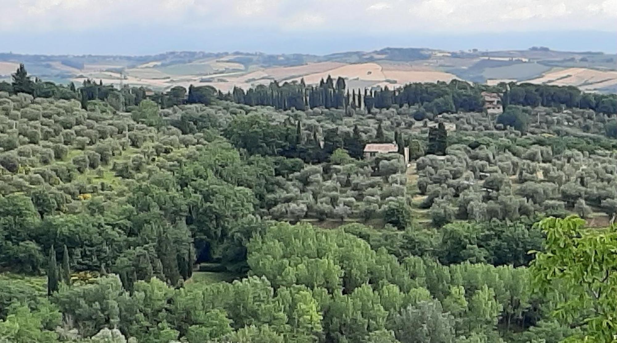 Montebello Degli Olivi Чиуси Экстерьер фото